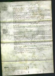 Court of Common Pleas - Hannah Bownass-Original Ancestry