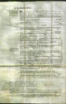 Court of Common Pleas - Grace Jones-Original Ancestry