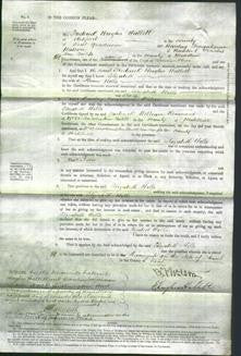 Court of Common Pleas - Elizabeth Hills-Original Ancestry