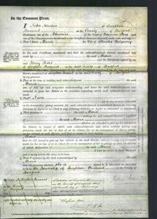 Court of Common Pleas - Maria Ridgway-Original Ancestry