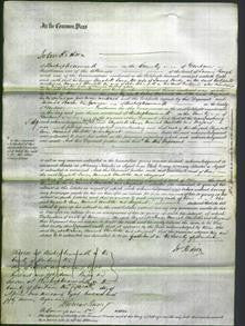 Court of Common Pleas - Elizabeth Jane Purdy, Hannah Charlotte Turnmouth and Margaret Hughes-Original Ancestry