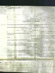 Court of Common Pleas - Elizabeth Deacon-Original Ancestry