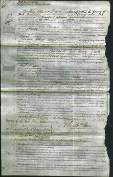 Court of Common Pleas - Nancy Hirth-Original Ancestry