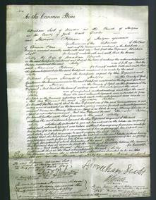 Court of Common Pleas - Sally Sidswell-Original Ancestry