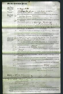 Court of Common Pleas - Deborah Belward-Original Ancestry