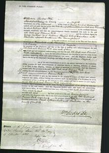 Court of Common Pleas - Abi Cook and Frances Feek-Original Ancestry