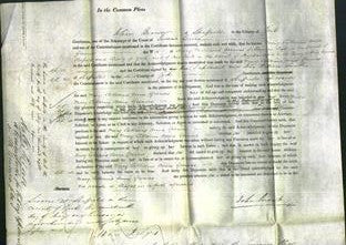 Court of Common Pleas - Mary Catherine Anne Greaves-Original Ancestry