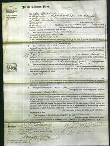 Court of Common Pleas - Henrietta Brook-Original Ancestry