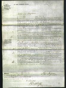 Court of Common Pleas - Mary Wood and Mary Bollard-Original Ancestry