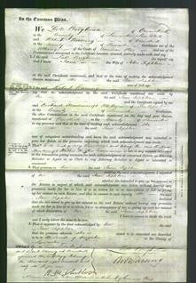Court of Common Pleas - Jane Sephton-Original Ancestry
