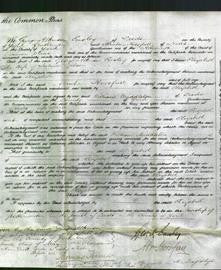 Court of Common Pleas - Elizabeth Gibson-Original Ancestry