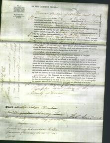 Court of Common Pleas - Emma Bedford Greenway-Original Ancestry