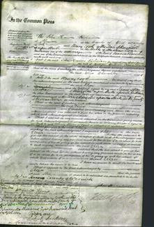 Court of Common Pleas - Eliza Churchley-Original Ancestry