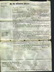 Court of Common Pleas - Hannah Isabella Martin-Original Ancestry