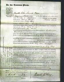 Court of Common Pleas - Mary Christopher-Original Ancestry