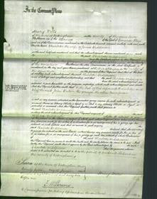 Court of Common Pleas - Charlotte Widdowson