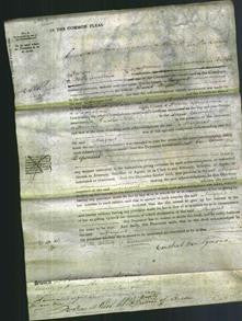 Court of Common Pleas - Margaret Brydon-Original Ancestry