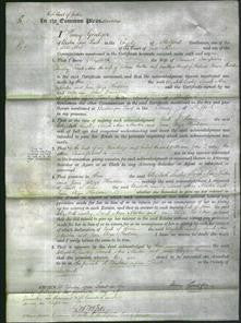 Court of Common Pleas - Elizabeth Lawley, Sarah Ann Newton, Jane Eliza Houlden-Original Ancestry