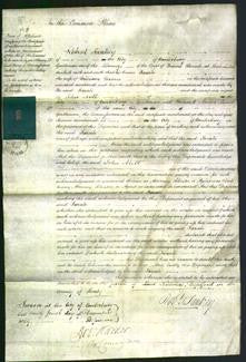 Court of Common Pleas - Sarah Watson-Original Ancestry