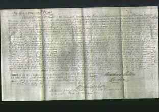 Court of Common Pleas - Eliza Spincer-Original Ancestry