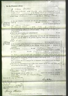 Court of Common Pleas - Catherine Hunt-Original Ancestry