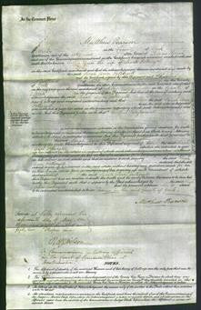 Court of Common Pleas - Sarah Ann Fothergill-Original Ancestry