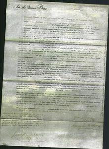 Court of Common Pleas - Eliza Manning-Original Ancestry