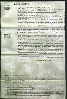 Court of Common Pleas - Ursula Hawkes-Original Ancestry