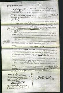 Court of Common Pleas - Sarah Cawley-Original Ancestry