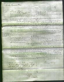 Court of Common Pleas - Georgiana Wrightson