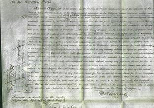 Court of Common Pleas - Catherine Polhurst-Original Ancestry