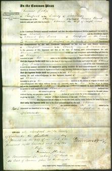 Court of Common Pleas - Eleanor Jones-Original Ancestry