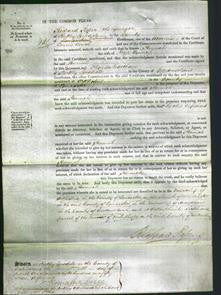 Court of Common Pleas - Hannah Bownass-Original Ancestry