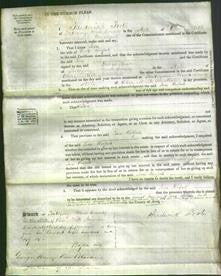 Court of Common Pleas - Jane Philpott-Original Ancestry