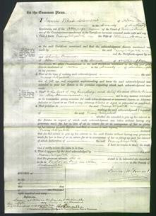 Court of Common Pleas - Mary Elizabeth Stevens-Original Ancestry