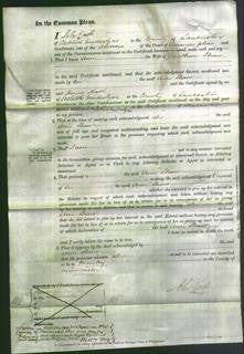 Court of Common Pleas - Ann Shaw-Original Ancestry