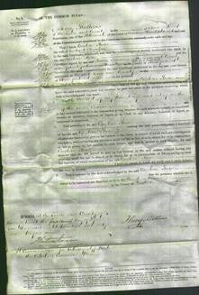 Court of Common Pleas - Caroline Anne Chambers-Original Ancestry