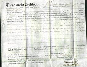 Deed by Married Women - Mary Hobbs Dabbs-Original Ancestry