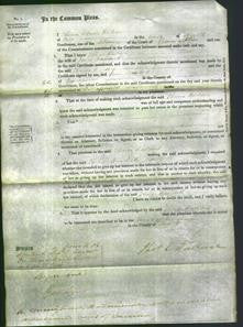 Court of Common Pleas - Theresa Haddock-Original Ancestry