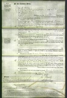 Court of Common Pleas - Harriet Aspinall, Frances Farness and Agnes Jackson-Original Ancestry