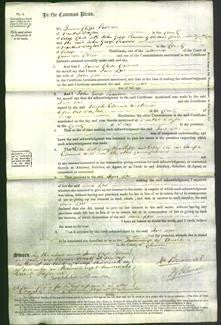 Court of Common Pleas - Jane Lees-Original Ancestry
