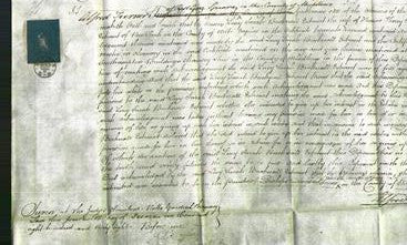 Court of Common Pleas - Lucy Sarah Bucknall-Estcourt-Original Ancestry