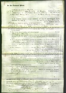 Court of Common Pleas - Mary Ann Manley-Original Ancestry