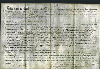 Deed by Married Women - Elizabeth Georgina Stamp-Original Ancestry