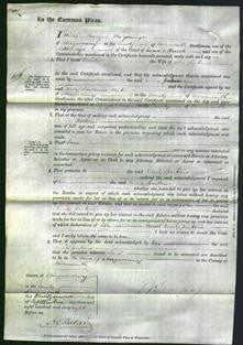 Court of Common Pleas - Emily Jenkins-Original Ancestry