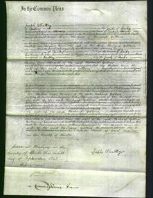 Court of Common Pleas - Ann Gibbons-Original Ancestry