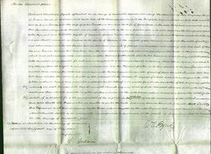 Court of Common Pleas - Frances Ann Farrell and Ann Rodd Eades-Original Ancestry