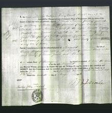 Appointment of Special Commissioners - Thomas Mercer Jones, Constant Van Egmond, George Thompson and Joshua Mainwaring-Original Ancestry