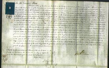 Court of Common Pleas - Elizabeth Griffith-Original Ancestry