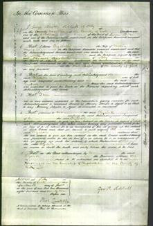 Court of Common Pleas - Elizabeth Myers-Original Ancestry